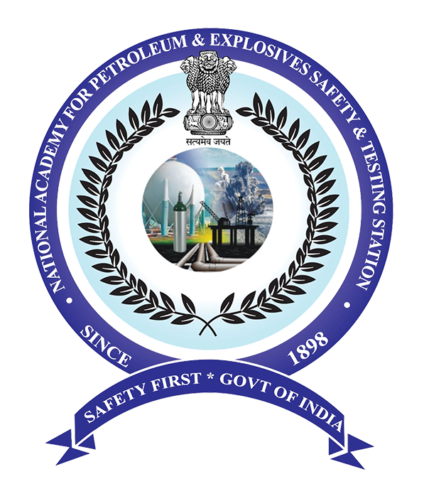 NAPES-logo