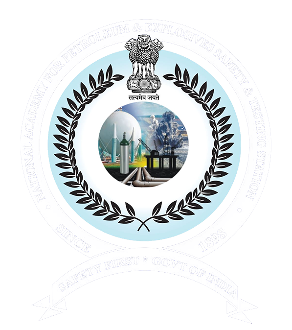 NAPES-logo